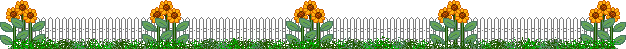 sunflowerfenceline.gif